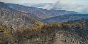İzmir Yangınının Bilançosu: Karşıyaka Kadar Alan Yandı