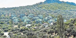 Orman İçerisine Yapılan Villaları Yeşile Boyadılar