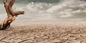 Küresel İklim Değişikliği Fotoğraf Yarışması Devam Ediyor