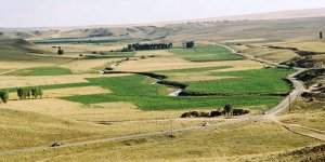 200 Milyon Metrekare Hazine Arazisi Kiraya Verilecek