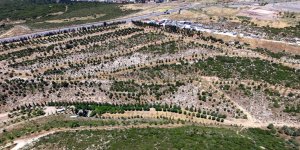 Portakal Vadisi Projesine 'En İyi Kentsel Tasarım' Ödülü