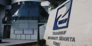 TMSF'ye Devredilen Şirketlerle İlgili Düzenleme?