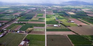 Ege'de 189 Bin 561 Dekar Arazi Toplulaştırıldı