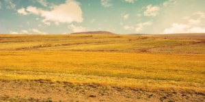 Arsa Tapu Harcı 2020