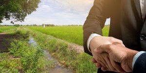 Fırsatçıların Yeni Hedefi Hisseli Arsalar!