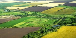 Hazineye Ait Araziler Tarıma Açılıyor