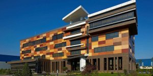 Tasarımda 'Doğaya Dönüş' Dönemi