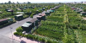 Hobi Bahçeleri İle Tarım Arazileri Konut Alanına Çevrildi