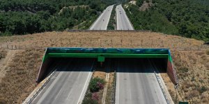 İzmir-Çeşme Otoyolu'ndaki Ekolojik Köprü Açıldı