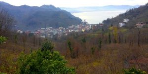 Ordu Bolaman Ve Yalıköy'ün İmar Planı Yenilenecek!