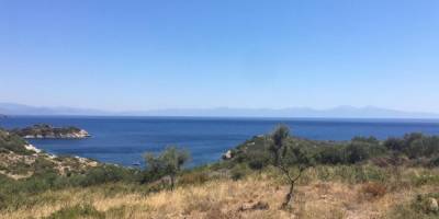 İzmir'de 'Hazine Arazisi' Dolandırıcısı 5 Kişi Gözaltına Alındı