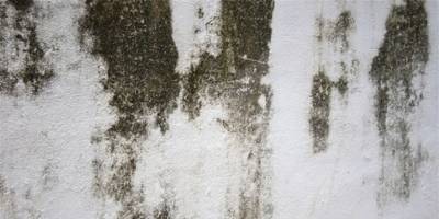 Evde Rutubet Nasıl Oluşur? Rutubetin Nedenleri Nelerdir?