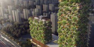 Çin'de Dikey Ormanlar İnşa Edilecek