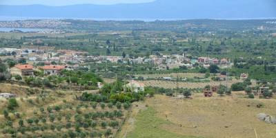 Gayrimenkul Sektörünün Yükselen Değeri: Arsa Arazi Yatırımı