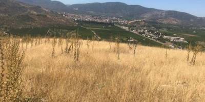 TOKİ'den Selçuk'a 210 Konutluk Proje: ÇED Süreci Başladı