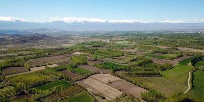 5 Bin 882 Hazine Arazisi Satışa Çıkıyor