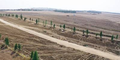 Boş Arsada İnşaata Başlamadan Önce Bilinmesi Dereken 10 Kritik Konu