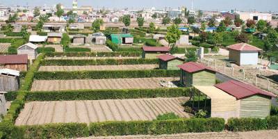 Hobi Bahçeleri Yasaklandı!