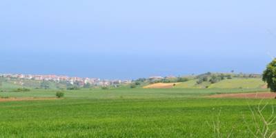 Trakya'da Arsa Fiyatları 5 Yılda Yüzde 85 Arttı