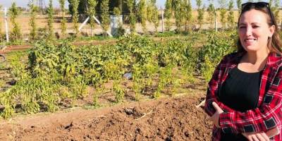 Mevcut Hobi Bahçelerine İlişkin Belirsizlik Devam Ediyor