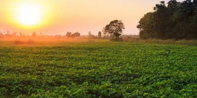 Arsa ve Arazi Arasındaki Fark