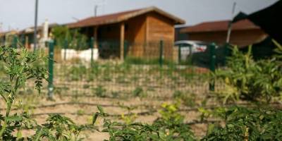 Hobi Bahçelerinin Yıkılması Çözüm Değil!