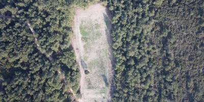 İzmir'de Hazine ve Orman Arazilerini Satmaya Çalışan Kamu Görevlileri Gözaltına Alındı