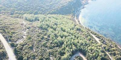 İzmir'de Hazine Arazilerini Satmaya Çalışan 6 Kişi Tutuklandı