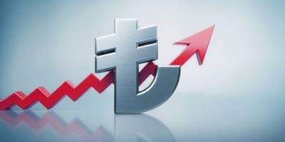 Yüksek Döviz Zarar Vermez, Yüksek Faiz Zarar Verir!