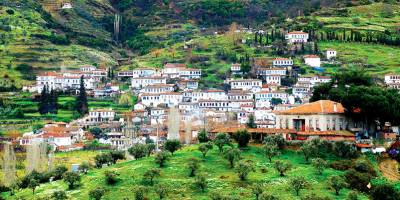Bornova'da Kaçak Yapılar ve Hobi Bahçeleri Yıkılıyor