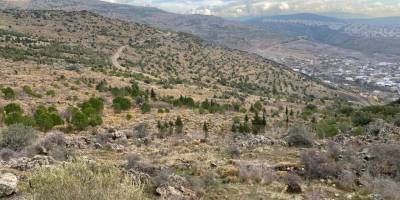 İzmir'de 374 Hektarlık Alanı İmara Açan Planlar Mahkemelik Oldu