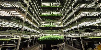 1 Milyon Metrekarelik Tarım Fabrikası Kurulacak