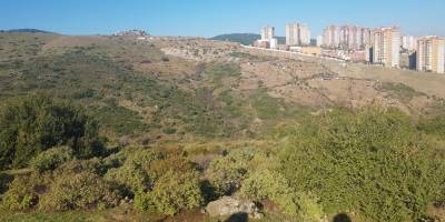 Üniversite'nin Yanındaki 140 Dönümlük Arazi Konut İmarına Açıldı