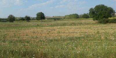 Arsa Alırken Nelere Dikkat Etmeli?