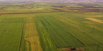 Milli Emlak 131 Araziyi Kiraya Verecek