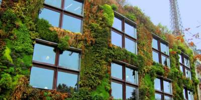 Küresel Isınmaya Karşı Yeşil Binaların Sayısı Artmalı
