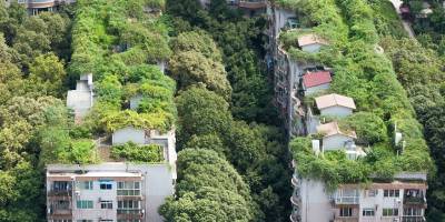 İklim Değişikliğine Karşı Yeşil Çözümlere Yatırım Şart!