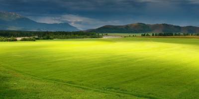 Arsa Satışlarında Tüm Zamanların Rekoru Kırıldı