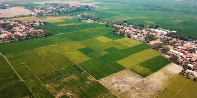 Yatırımcılara 10.6 Milyar TL'lik Hazine Arazisi Desteği