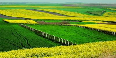 Yatırımcıların Yeni Rotası Arsa!