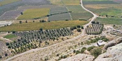 Bergama Belediyesi 17 Tarlayı Satışa Çıkardı