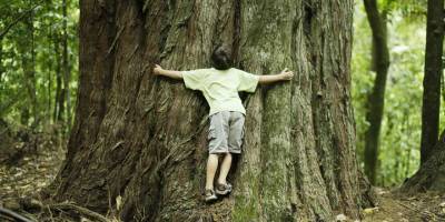 Bitkiler ile İnsanlar Arasında İletişim Mümkün mü?