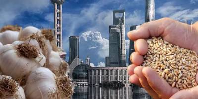 Konut Peşinatını Buğday ve Sarımsakla Kabul Etmeye Başladılar