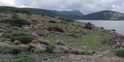Cengiz İnşaat'tan Cennet Koyu İle İlgili Yeni Açıklama!