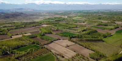 2 Yıl Atıl Bekletilen Tarım Arazileri Kiraya Verilecek