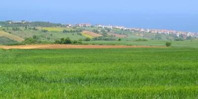 Arsa, Tarla ve İş Yeri Satışlarında Tüm Zamanların Rekoru Kırıldı
