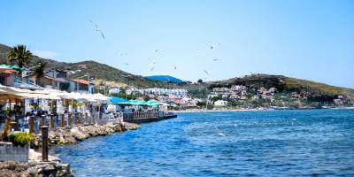 Urla'da Denize Sıfır 33 Dönüm Arazi 10 Yıllığına Kiraya Verildi