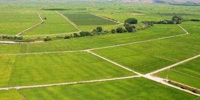 Hangi İllerde Arazi Yatırımı Çok Kazandırdı?