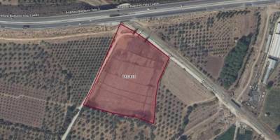 Bayındır’da Yola Yakın Konumdaki 19 Buçuk Dönümlük Tarla Satışa Çıktı