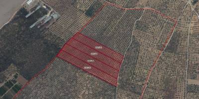 Bayındır’da 5 Adet Arsa 57 Milyon TL’ye Satışa Çıkarılıyor